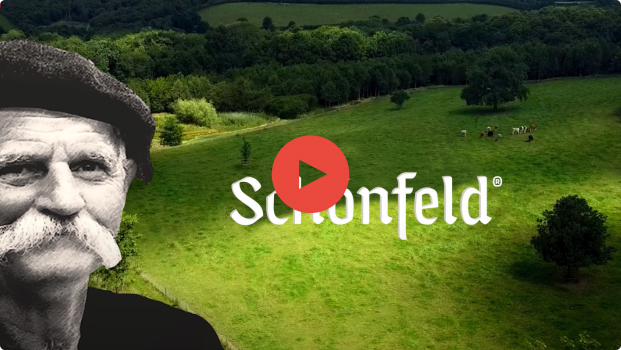 Schönfeld video in modal